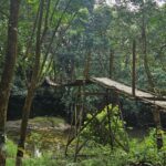 WhatsApp Image 2025-02-14 at 12.38.15 PM